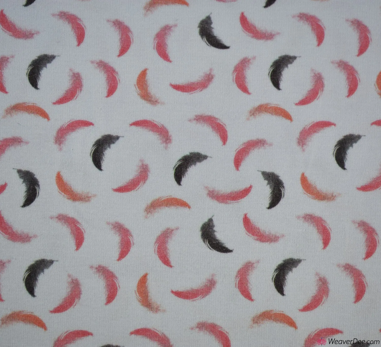 Feathers Cotton Jersey Fabric - BLOOMING FABRICS